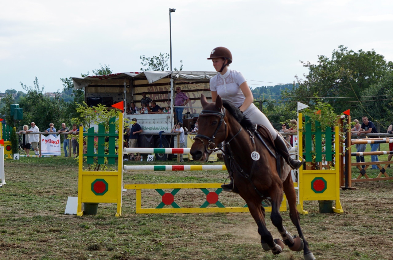 Reitturnier Echterdingen. Sponsored by The One Thai Massage 5 Springreiter